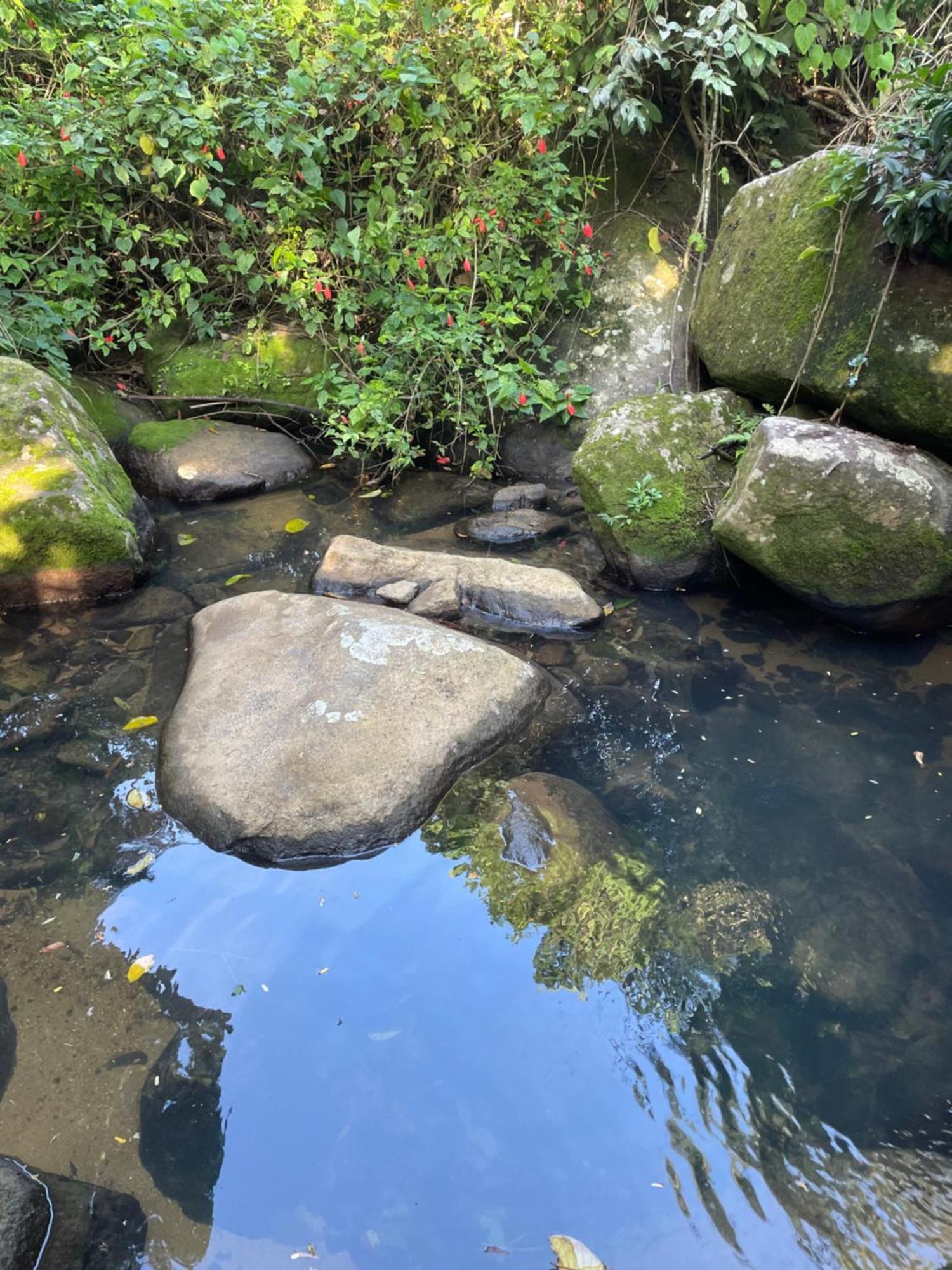 Casa Selva - Vila Do Abraao - Ilha Grande المظهر الخارجي الصورة