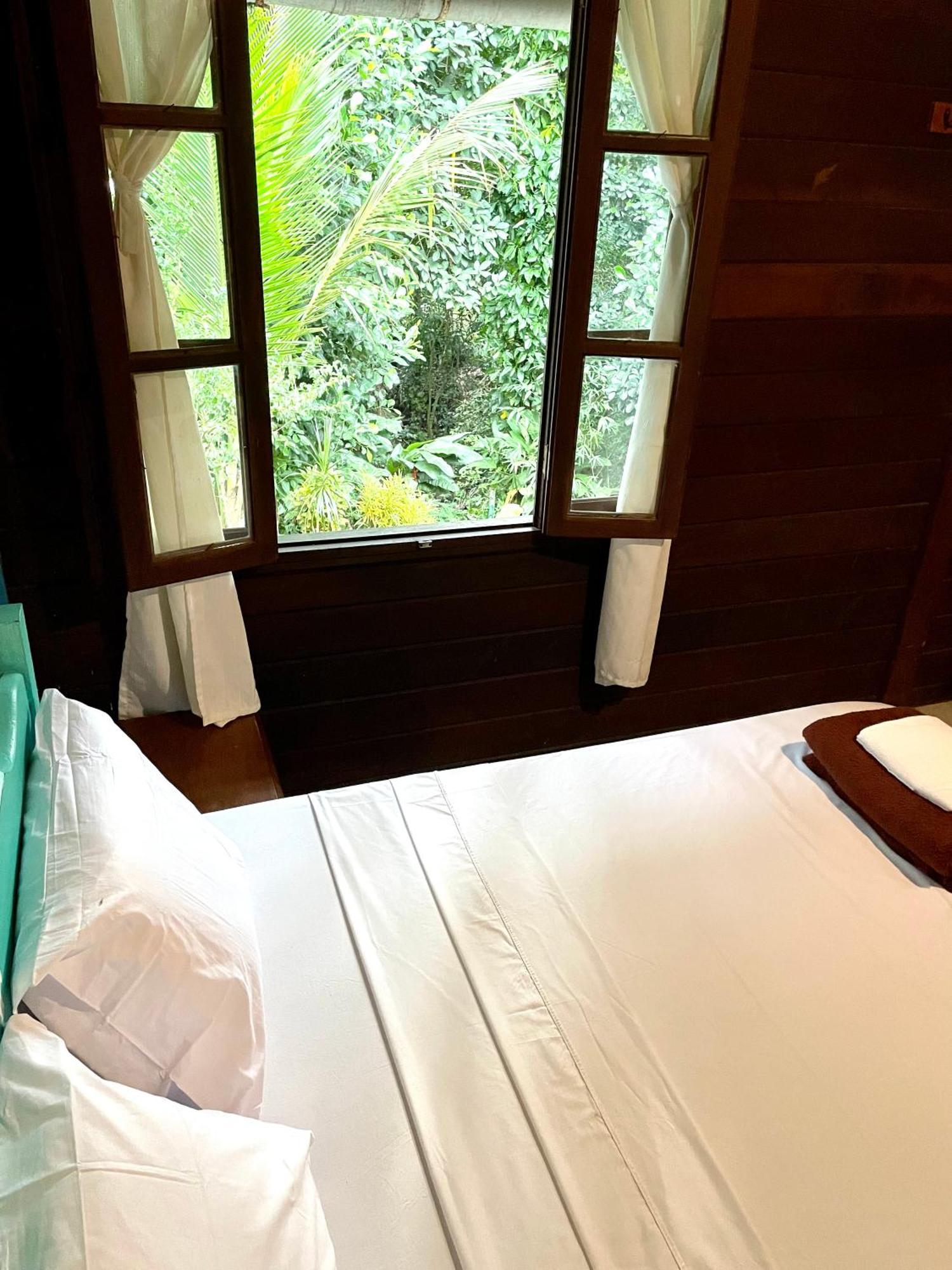 Casa Selva - Vila Do Abraao - Ilha Grande المظهر الخارجي الصورة